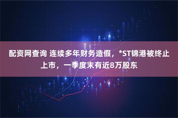 配资网查询 连续多年财务造假，*ST锦港被终止上市，一季度末有近8万股东